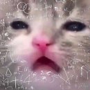 까마레