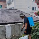 김포밋션 태양광발전소 | 수도권 예초대행｜제초제 살포 안전하게 하는 방법｜공장·농지·태양광 부지 관리 전문 깔끔이 말끔이