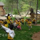 한국의 숲 유치원 어디까지 왔나 이미지