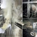 완진농장 이미지