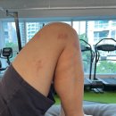 37.5℃ 트레이닝 센터 네이버블로그