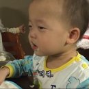 브라운헤이븐 이미지