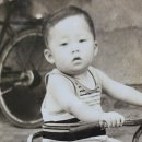 솔레르륀 이미지