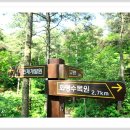 가람여행 이미지