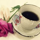 싱싱한의원 이미지