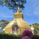 동양관광여행사 이미지