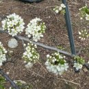 안곡농장 이미지