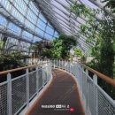 포항시북구9 | 포항 북구 새로 생긴 ‘환호공원식물원’ 솔직 방문 후기