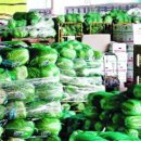 제세유통 이미지