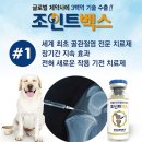 조인트