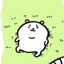 서울대학교치과병원 이미지