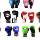 트윈스 MMA 이미지