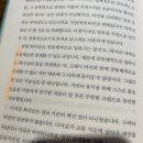 손성찬 카카오 검색결과
