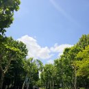 아름어린이공원 | 보라매공원 메타몽 가든 다녀왔어요 💜 메타몽가든 위치 , 일정, 상품, 팔로우 이벤트, 첫날 방문 후기 !