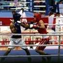 스타복싱2호점 이미지