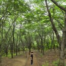성라공원(8지역, 피크닉장) | 성라 피크닉장 고양시 무료 개방공원 이용후기(예약,주차장1,2)