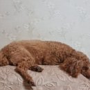 범어사메트로약국 이미지