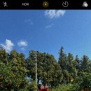 백록농장 이미지