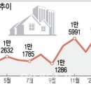 “고금리 매섭네”…경매물건 1.8만건 금융위기 이후 ‘최다’ 이미지