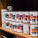 부산동물병원 이미지