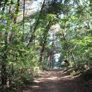 선산체육공원 체육시설 이미지