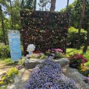 행복한 쉼터&문화공간 나무그늘 | 2026 서울국제정원박람회 "SEOUL INTERNATIONAL GARDEN SHOW " "서울숲"