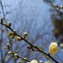 다율유치원 이미지