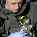 부자동물병원 이미지