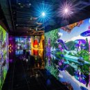 원더코코 이미지