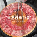 [대전 중구 중촌동] &#34;백조한우마을&#34; 소고기 후기