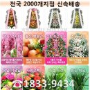 옥과장례식장 이미지
