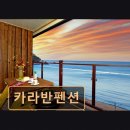해운대 카라반 호스텔 | [부산 숙소 추천 리뷰] 카라반펜션 해운대에서 특별한 힐링을