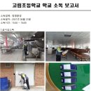 고림초 놀이터 이미지