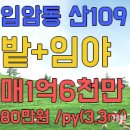 강릉입암공인중개사사무소 네이버블로그