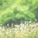 맛있는 빵과 달콤 디저트 이미지