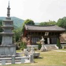 상주삼계탕 이미지