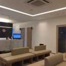 이든 연합의원 이미지