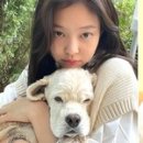 무지개다리 이미지