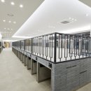 스파렉스 이미지