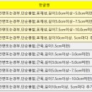 S0031 네이버블로그