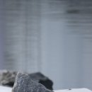 동부반점 이미지