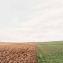 체크호텔 이미지