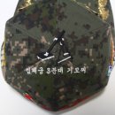 홍*태 이미지