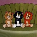 호텔 티제이 | [2026. January]