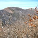 백두대간 ( 대덕산 - 초점산 ) 산행후기 ( 한백산악회 ) 이미지