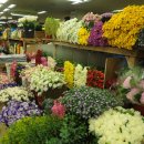 양재시장 이미지