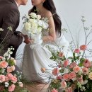 (주)빈트 | 동화 같은 웨딩 촬영, 빈트스튜디오에서 연출한 핑크무드 연계플라워 플라워디렉팅