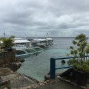 클럽 코코 관광나이트 이미지