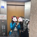 EG투어버스 I코스 | 오사카 근교 소도시 아마노하시다테 버스투어 후기 DAY2-1