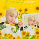 혜성필름 이미지